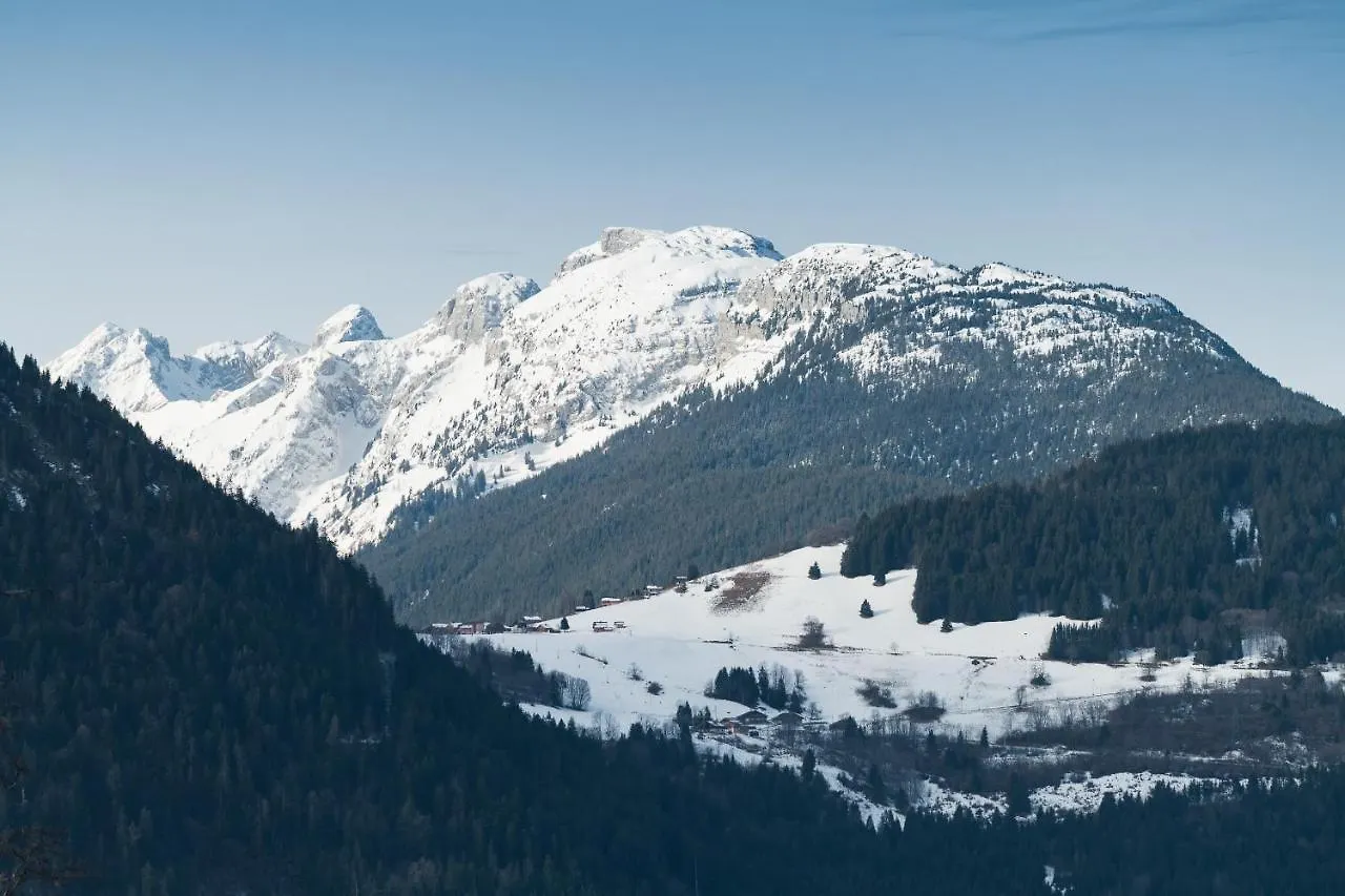 Coco Chalet Araches-la-Frasse